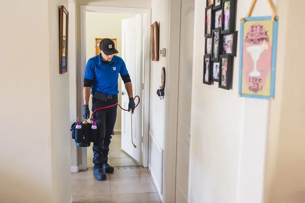Bed Bugs Arizona treating living room furniture for bed bugs