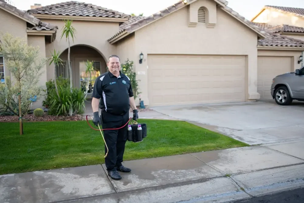 Bed Bugs Arizona arriving at a home