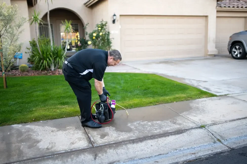 Bed Bugs Arizona arriving at a home
