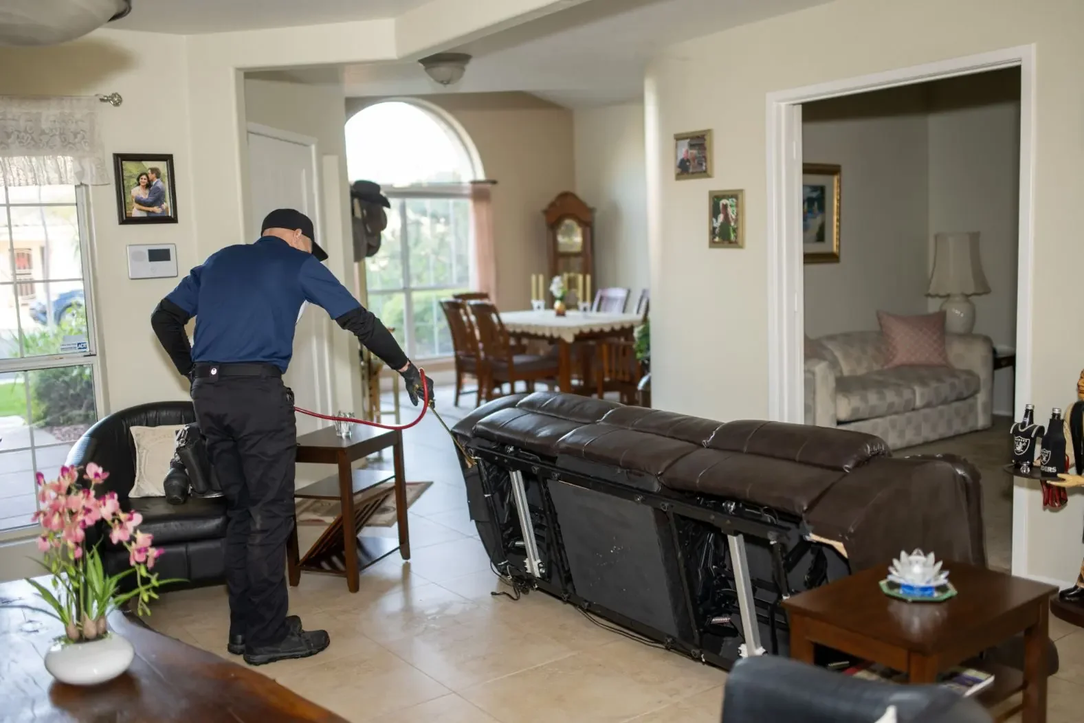 Bed Bugs Arizona, Terms and Conditions