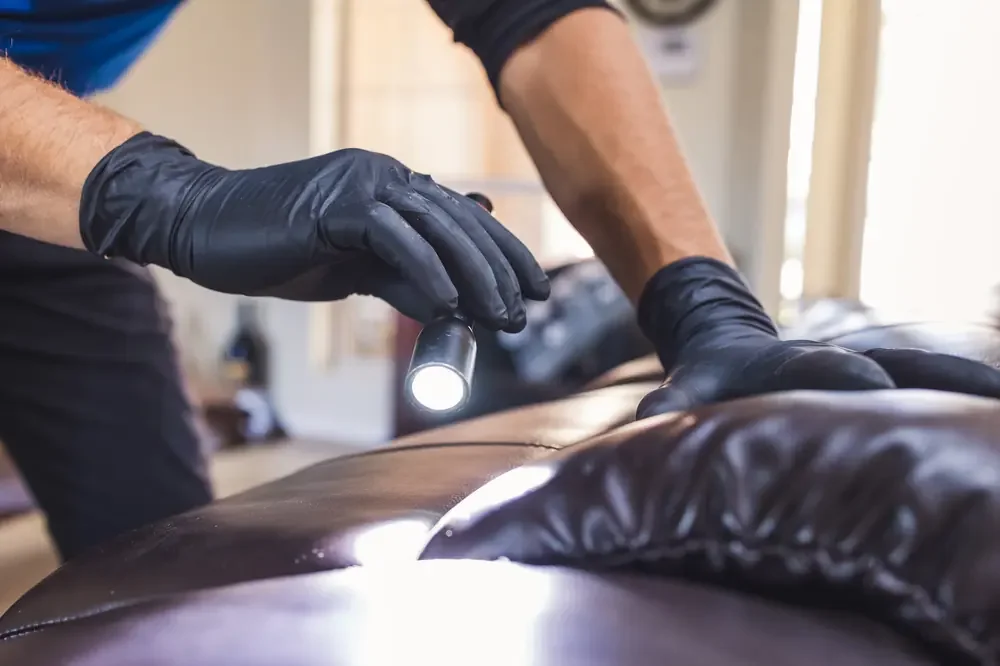 Bed Bugs Arizona treating living room furniture for bed bugs (Apartment & Multi-Family Bed Bug Treatment in Phoenix, AZ)