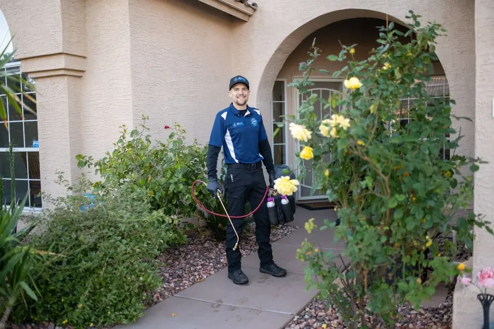 Bed Bugs Arizona arriving at a home (Bed Bugs and Travel: How to Keep Them Out of Your Arizona Home)