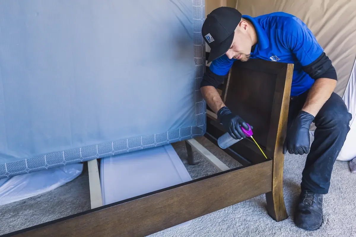 Pro-Treat Plus applied into the joints of a bed frame during a whole-home treatment