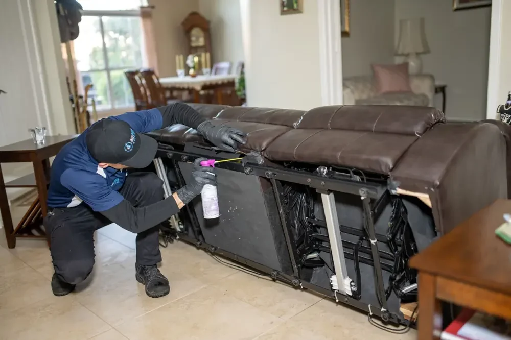 Bed Bugs Arizona treating living room furniture for bed bugs