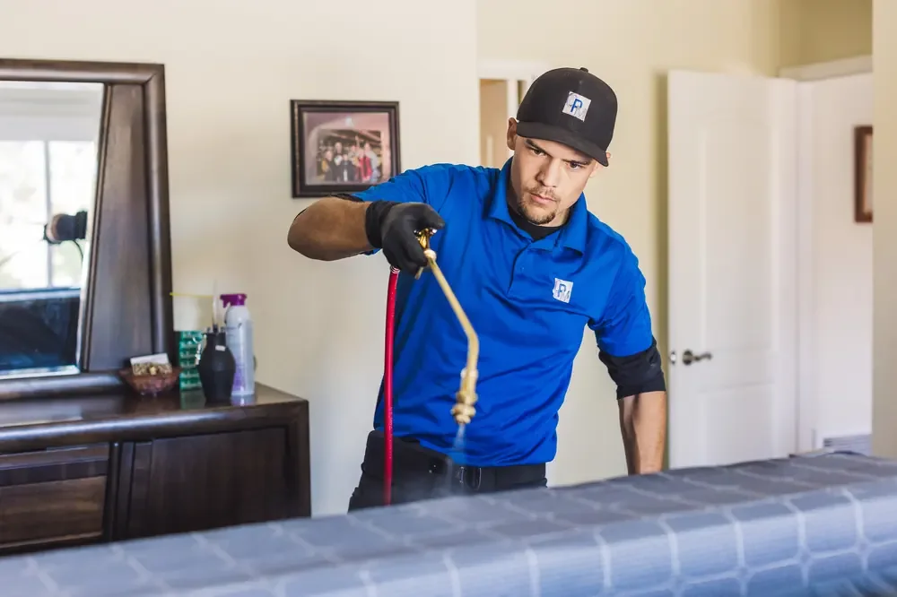 Bed Bugs Arizona treating a bed frame by hand