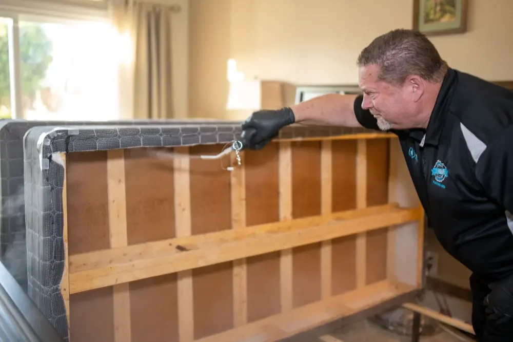 Bed Bugs Arizona treating a bed frame by hand (Signs of Bed Bugs: What to Look For in Your Arizona Home)