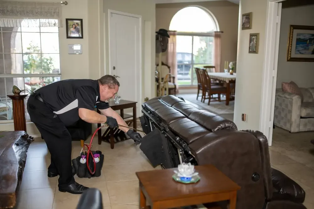 Bed Bugs Arizona treating living room furniture for bed bugs