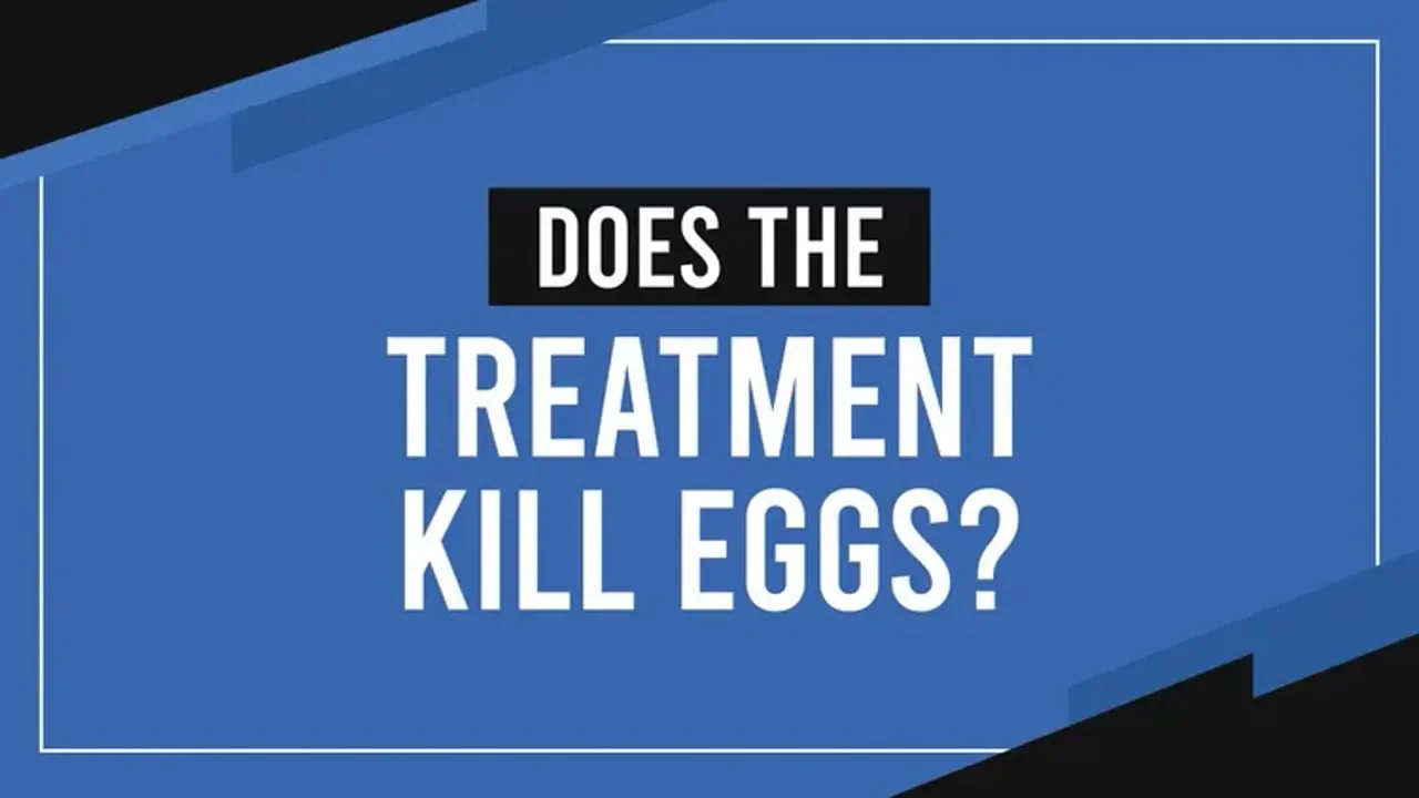 Does the Treatment Kill Eggs?