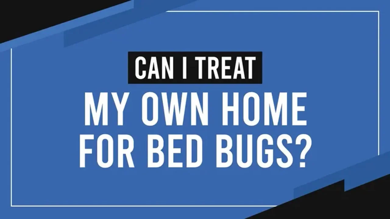 Can I Treat My Own Home for Bed Bugs?