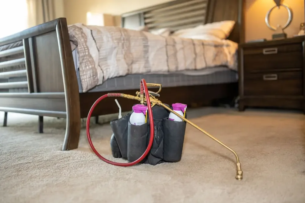 Bed bug treatment equipment