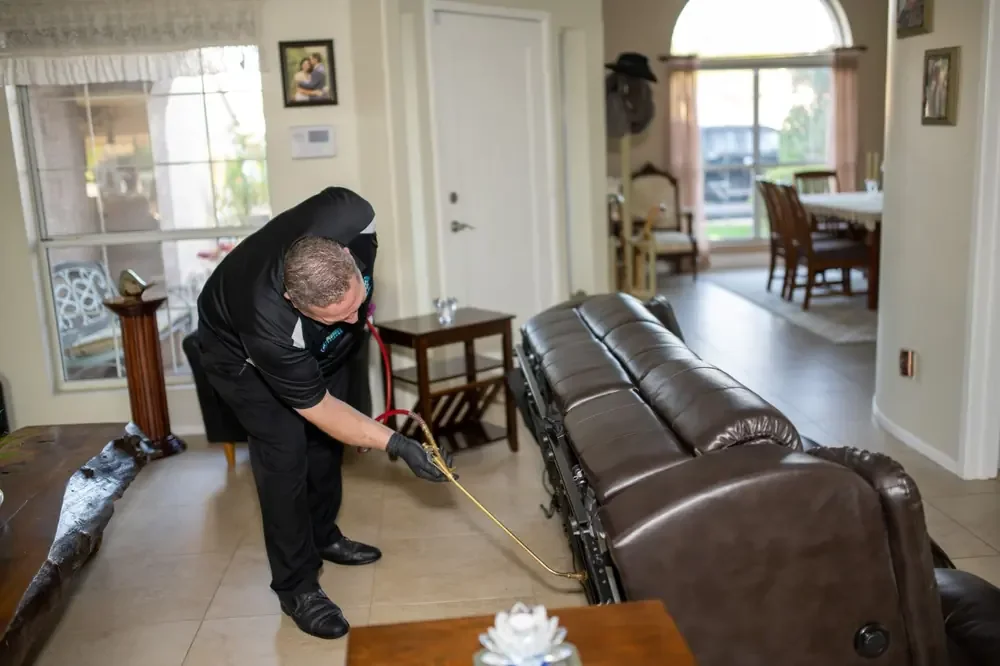Bed Bugs Arizona treating living room furniture for bed bugs (Bed Bugs in an Arizona Rental: What Landlords and Tenants Should Know)