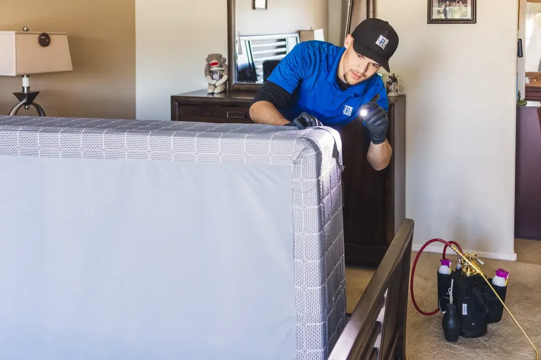 Bed bug inspection of a mattress in a Phoenix bedroom