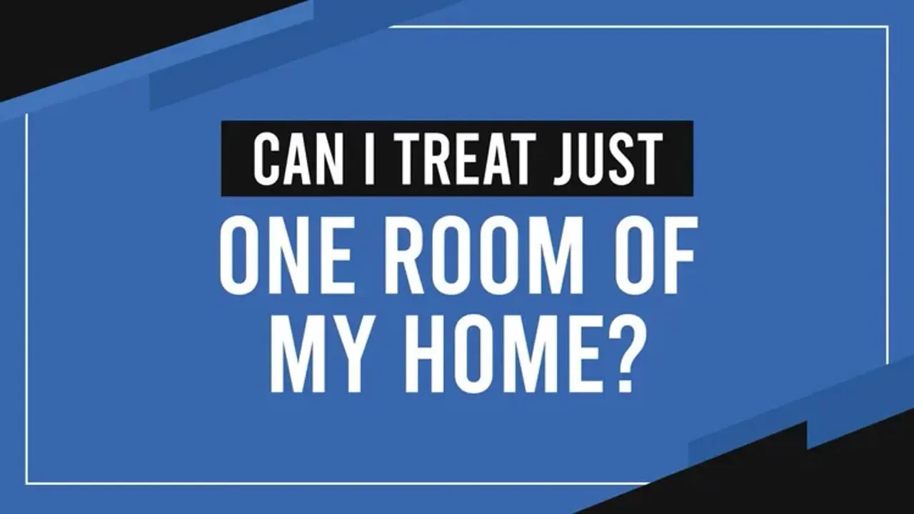 Can I Treat Just One Room for Bed Bugs?