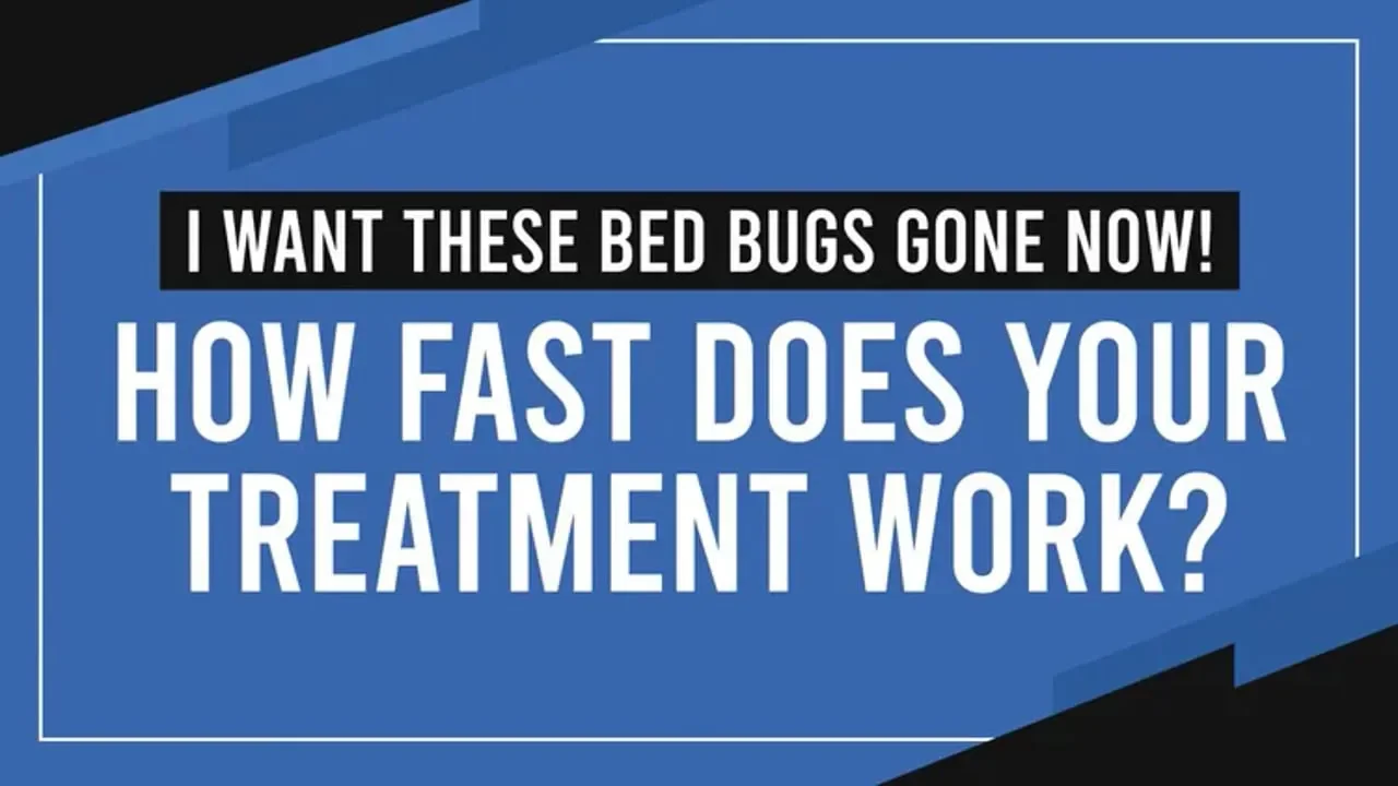 I Want These Bed Bugs Gone Now! How Fast Does Your Treatment Work?