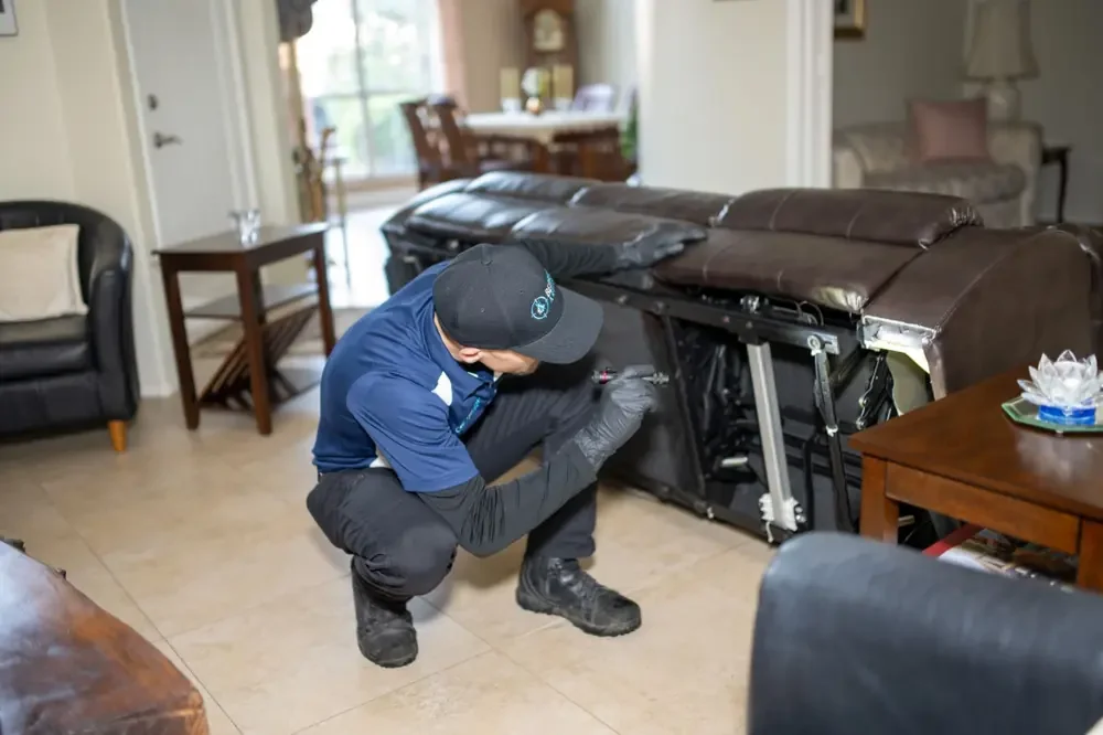 Bed Bugs Arizona treating living room furniture for bed bugs