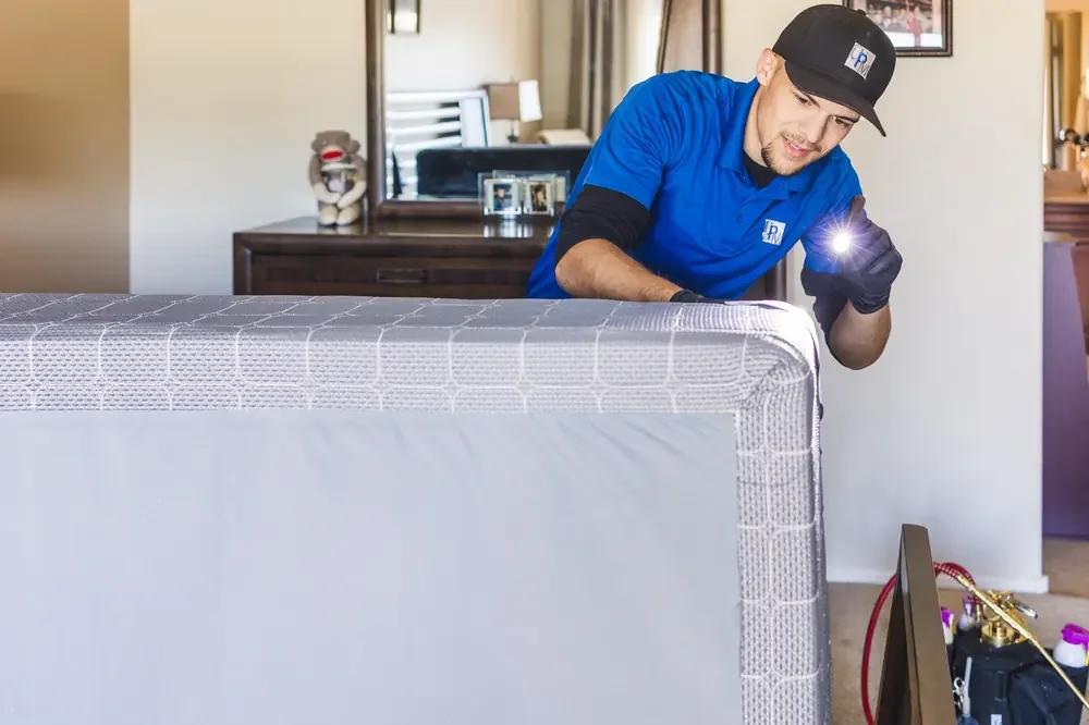 Bed bug inspection of a bed with a flashlight