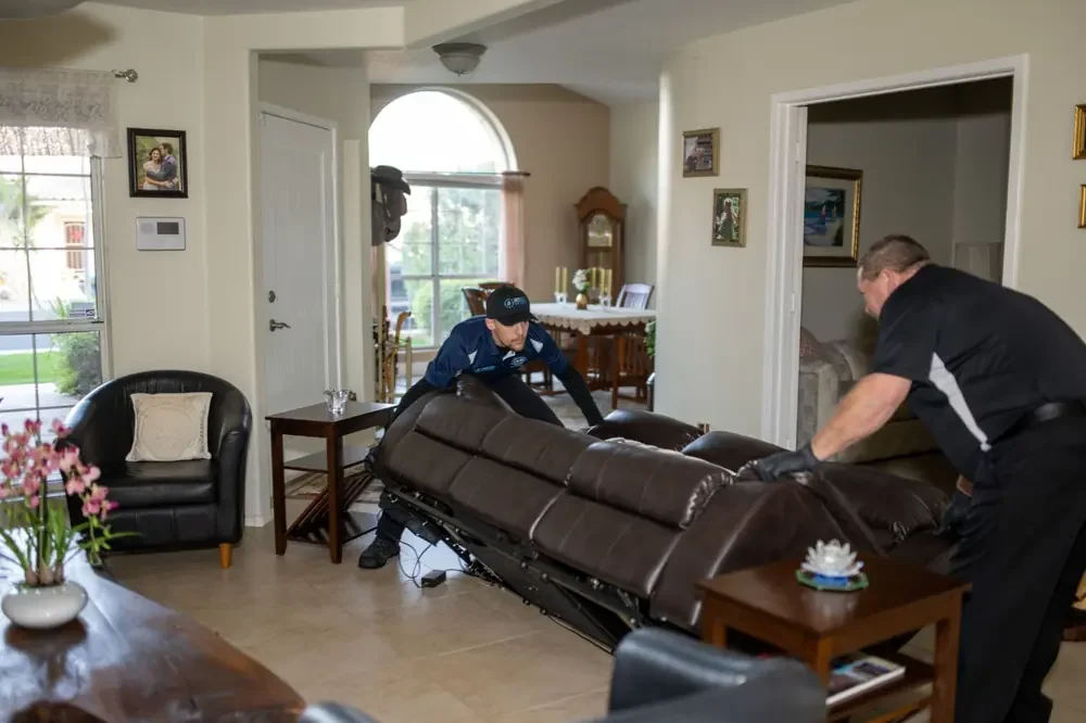 Bed Bugs Arizona treating living room furniture for bed bugs