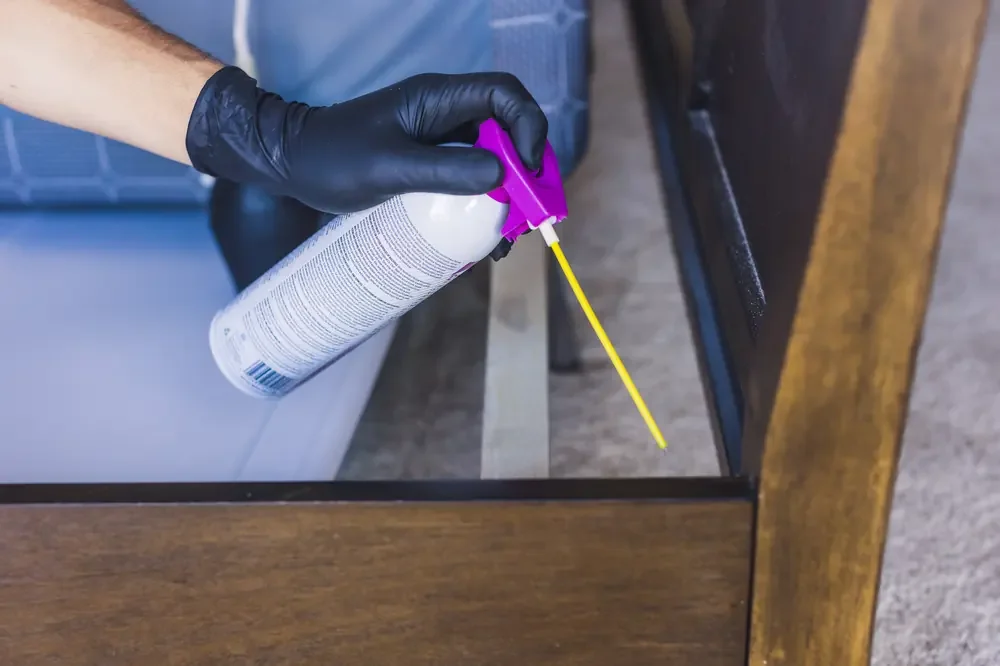 Bed bug treatment equipment