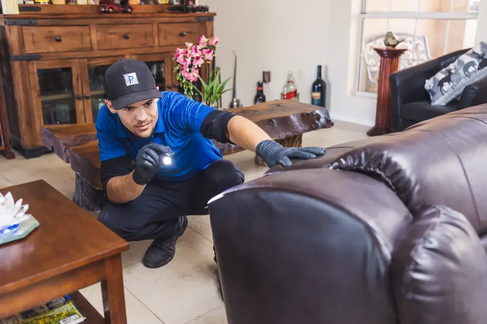 Bed Bugs Arizona treating living room furniture for bed bugs