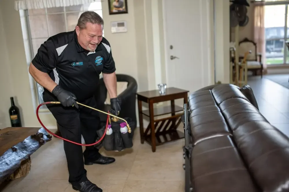 Bed Bugs Arizona treating living room furniture for bed bugs