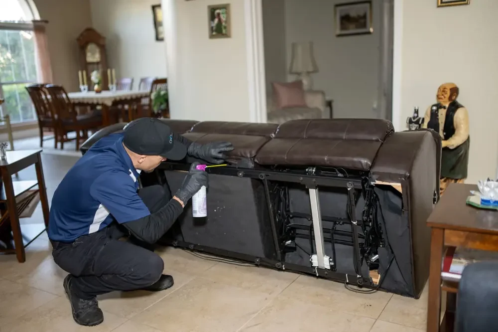 Bed Bugs Arizona treating living room furniture for bed bugs