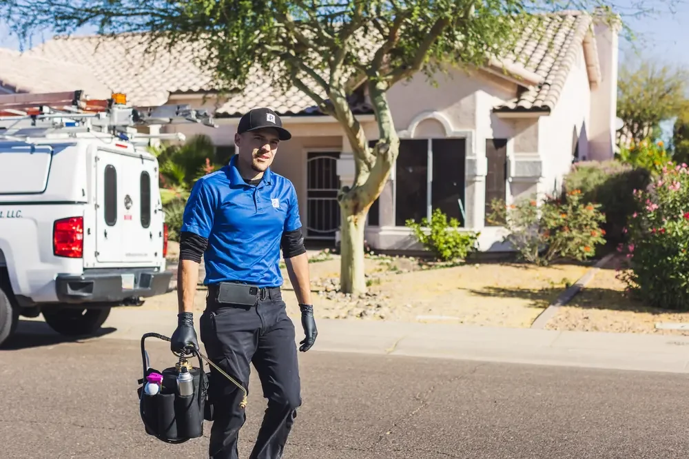 Bed Bugs Arizona arriving at a home