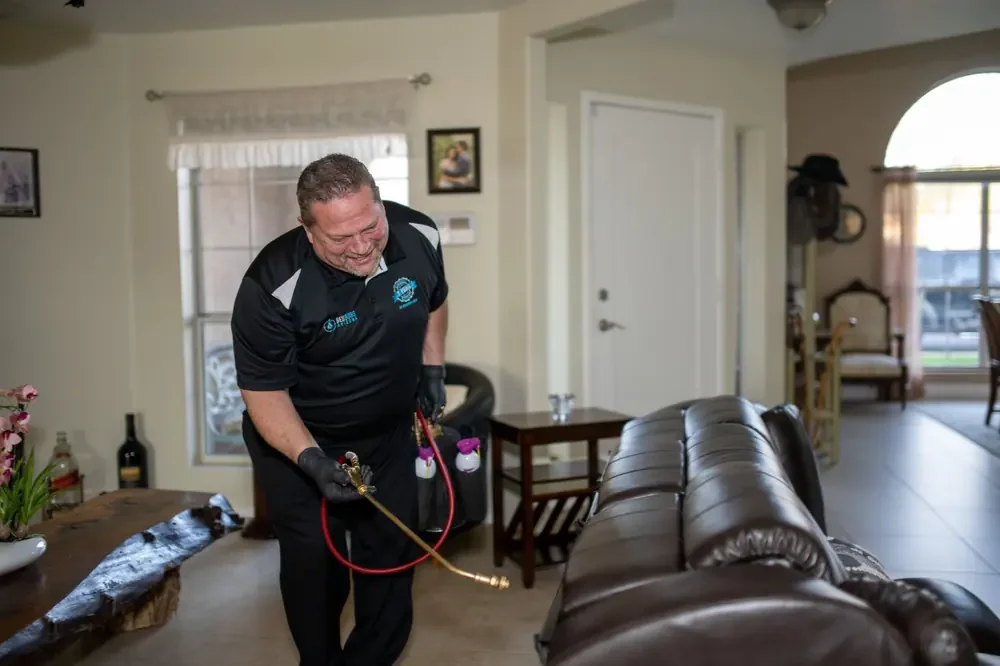 Bed Bugs Arizona treating living room furniture for bed bugs
