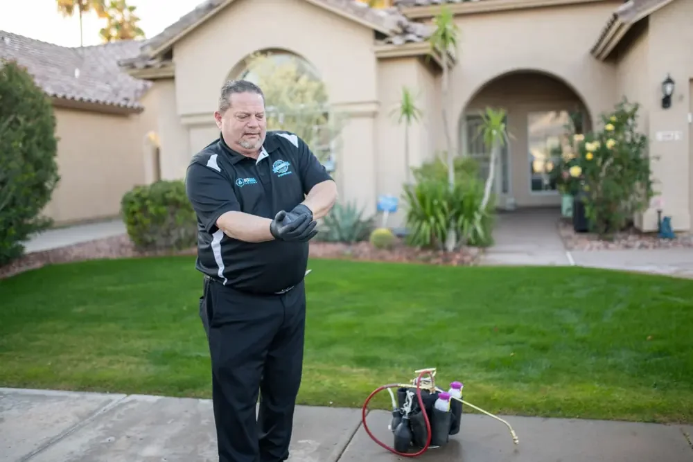 Bed Bugs Arizona arriving at a home (Bed Bug Exterminator in Avondale, AZ)