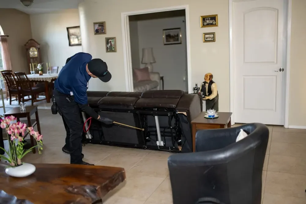 Bed Bugs Arizona treating living room furniture for bed bugs