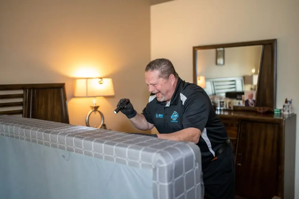 Bed bug inspection of a bed with a flashlight