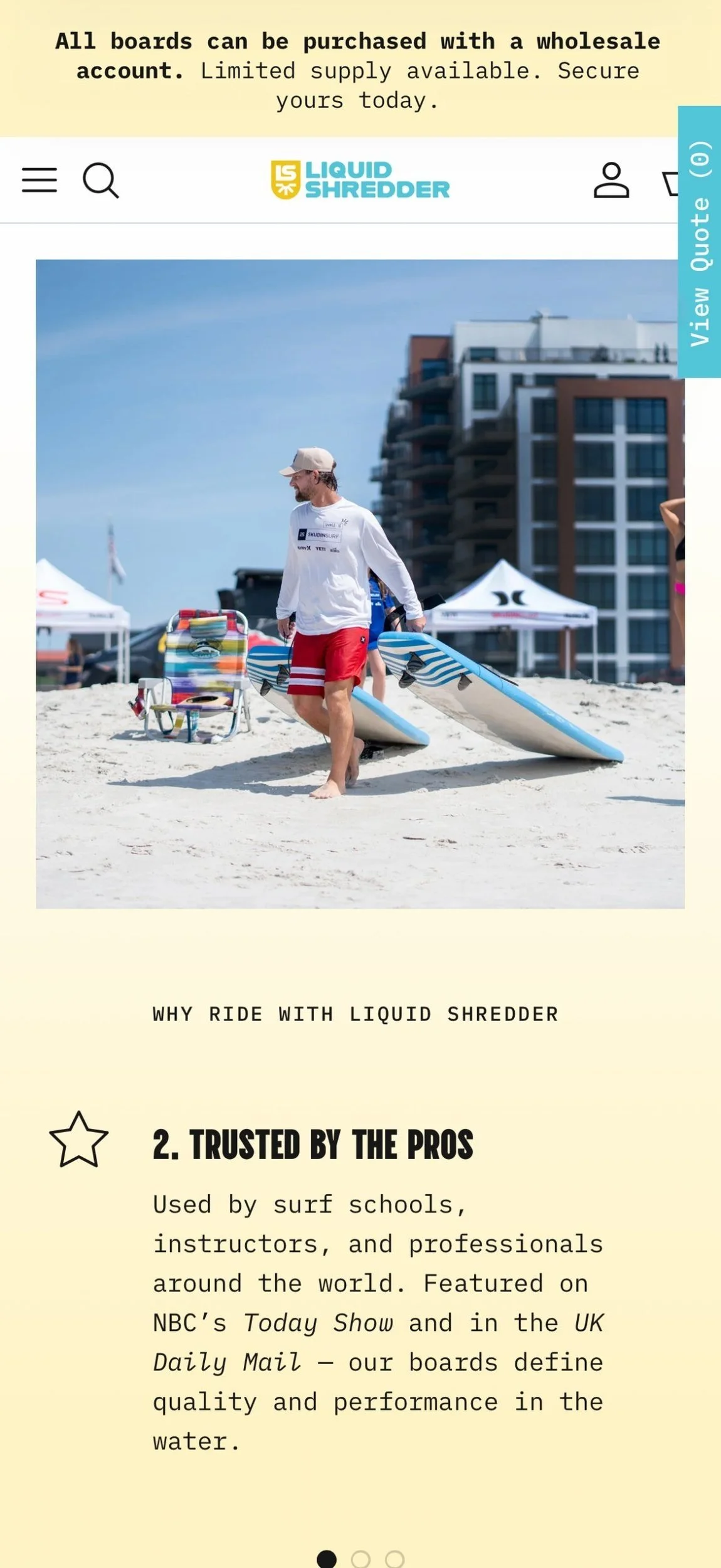 Liquid Shredder website mobile trusted by pros, designed by Carolina Marques