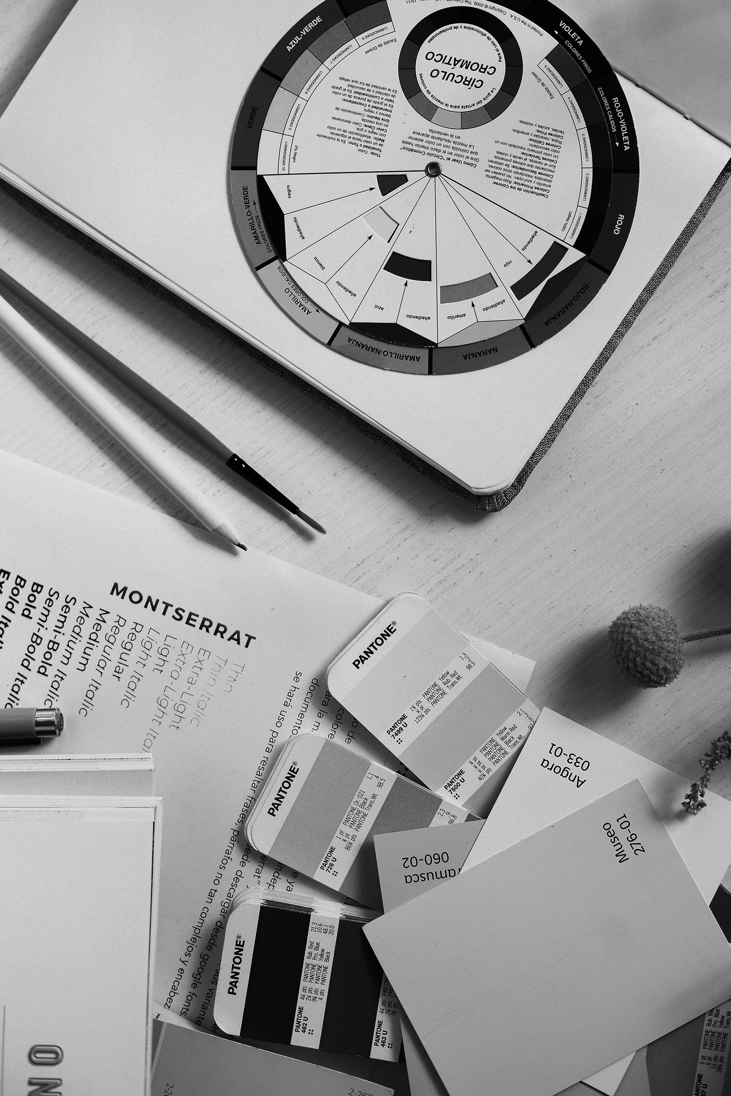 From Carolina Marques's design process