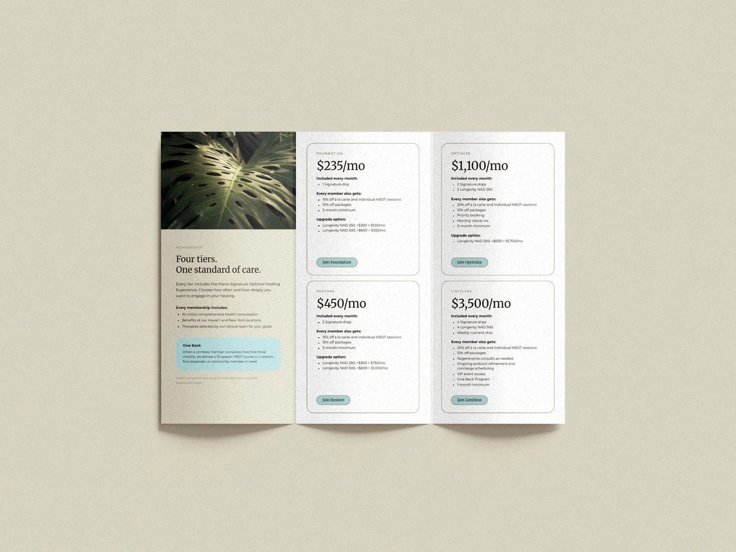 Mana Warrior Collective membership brochure inside, designed by Carolina Marques