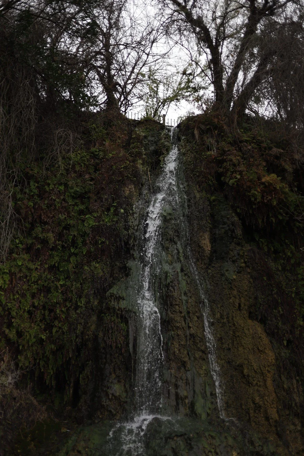 A narrow waterfall descending between mossy rock walls beneath trees.