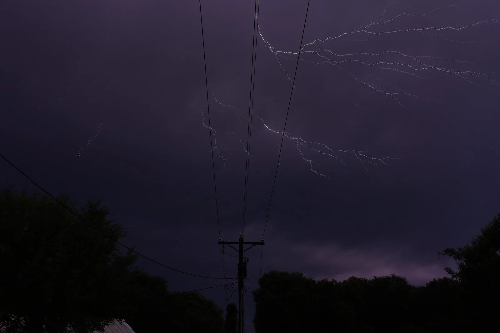 Branches of lightning across a purple night sky above power lines and dark trees.