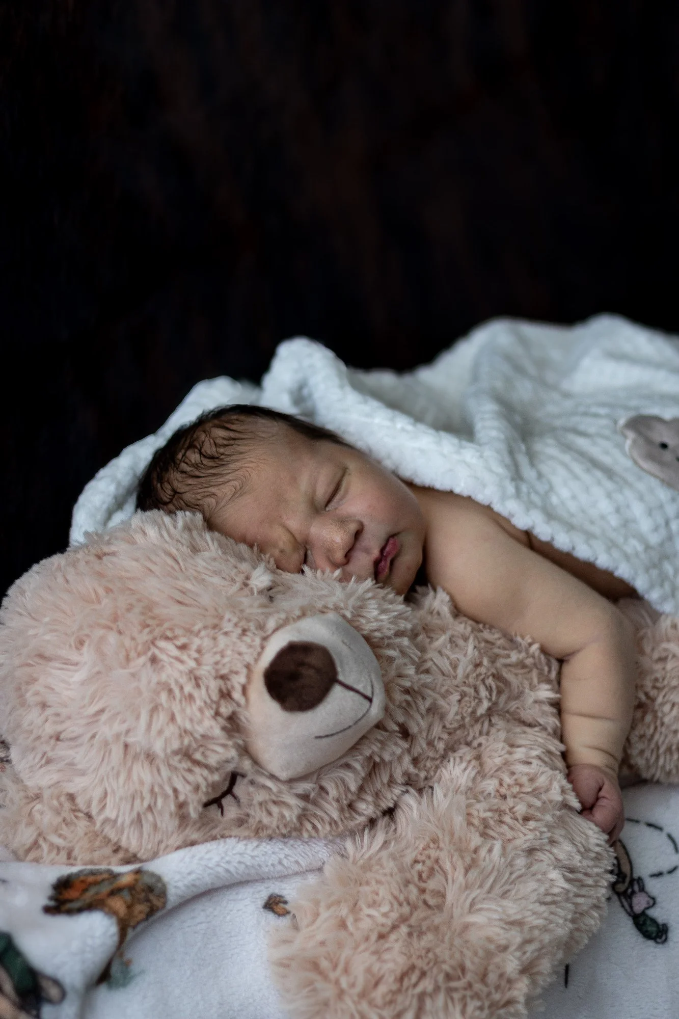A close portrait of a sleeping baby beside a teddy bear and a light blanket.