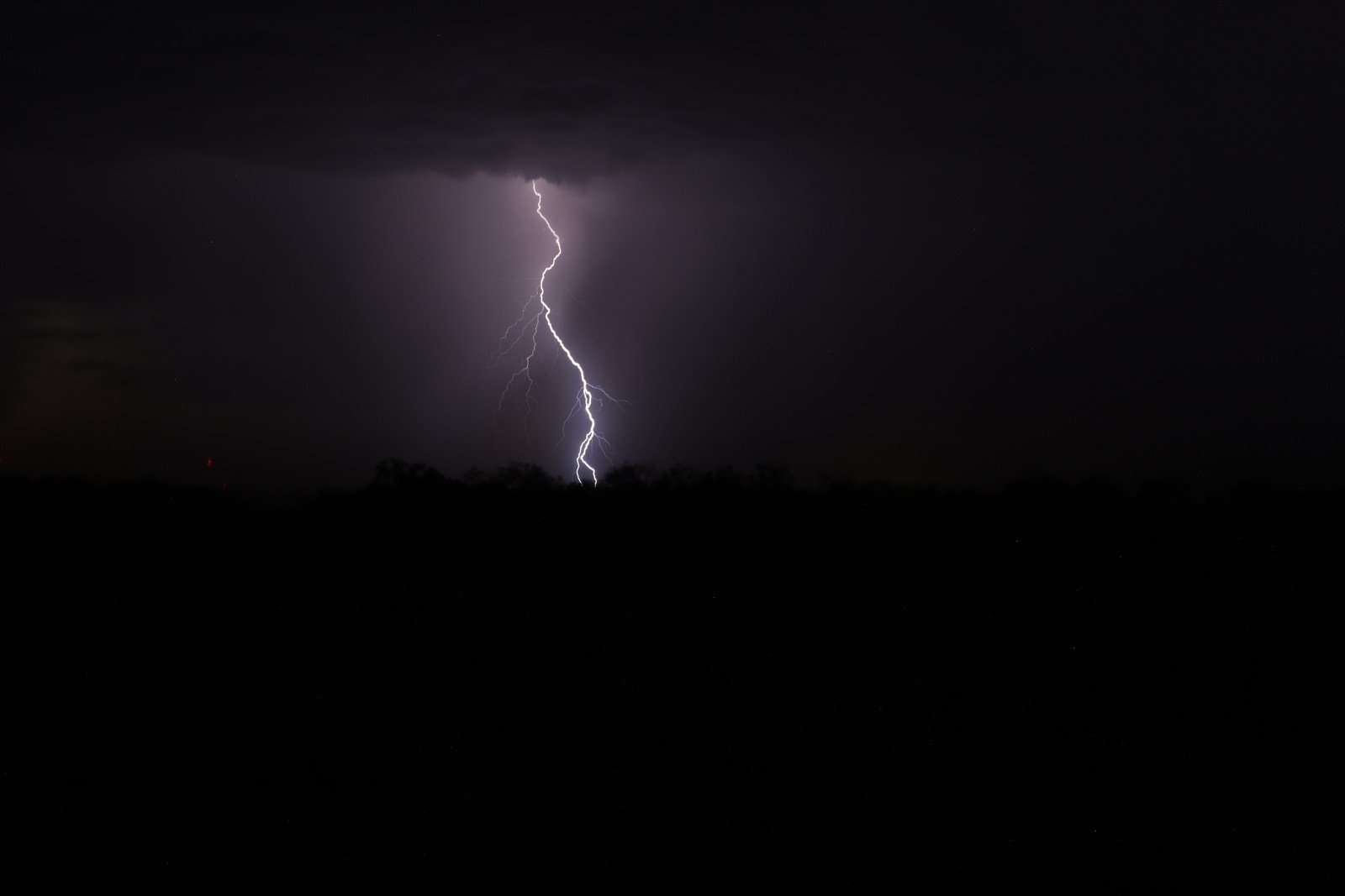 A bright lightning bolt beneath dark clouds above a silhouetted tree line.