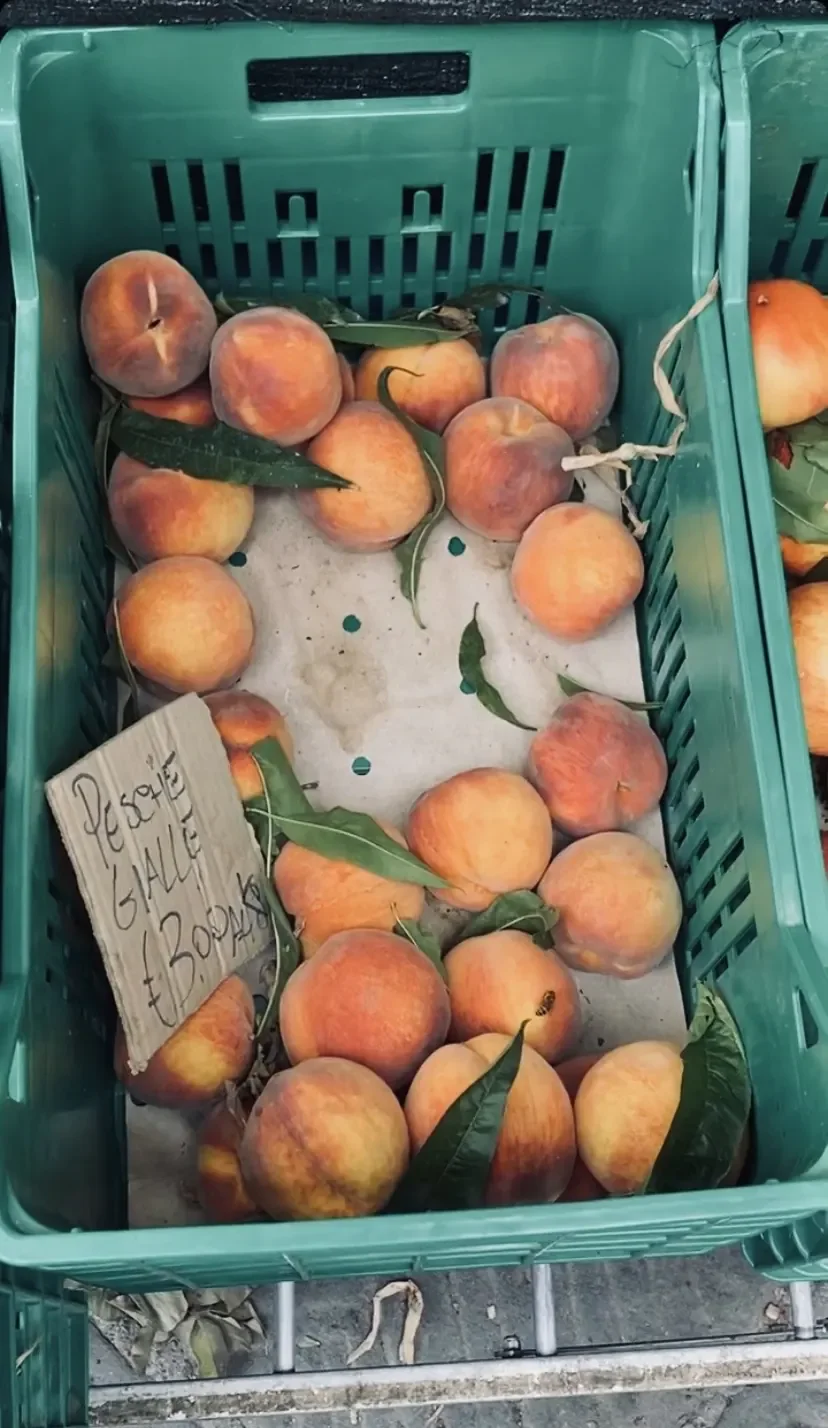 Peaches in a market crate with a handwritten price sign