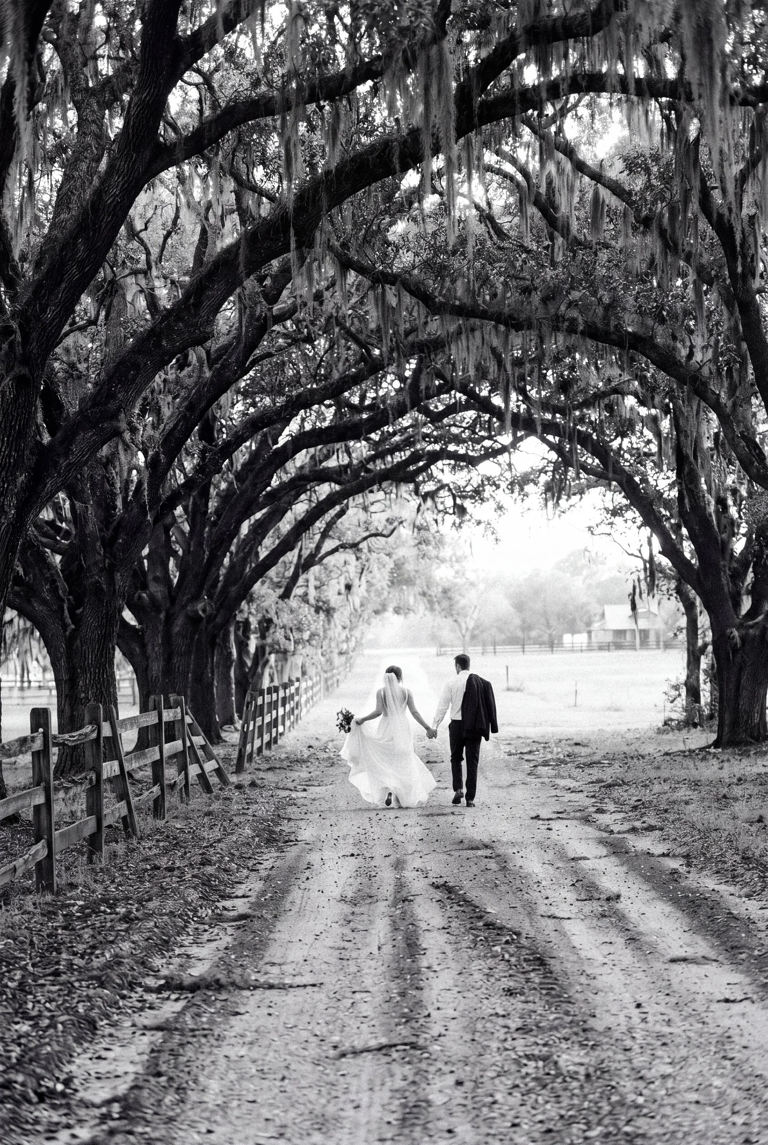 A couple walks hand in hand down a dirt road beneath an arch of moss draped oak trees