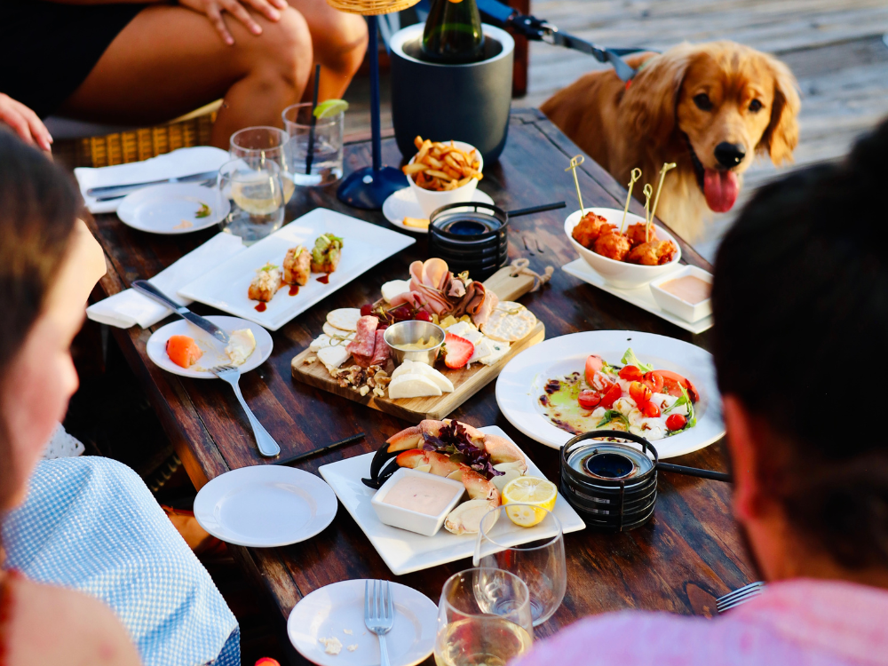 Food and drinks on the table at Rooster Tail Bar & Grill
