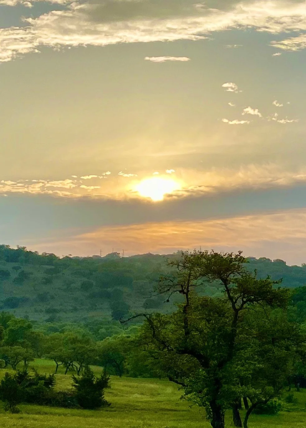 Sun setting over green hills and trees