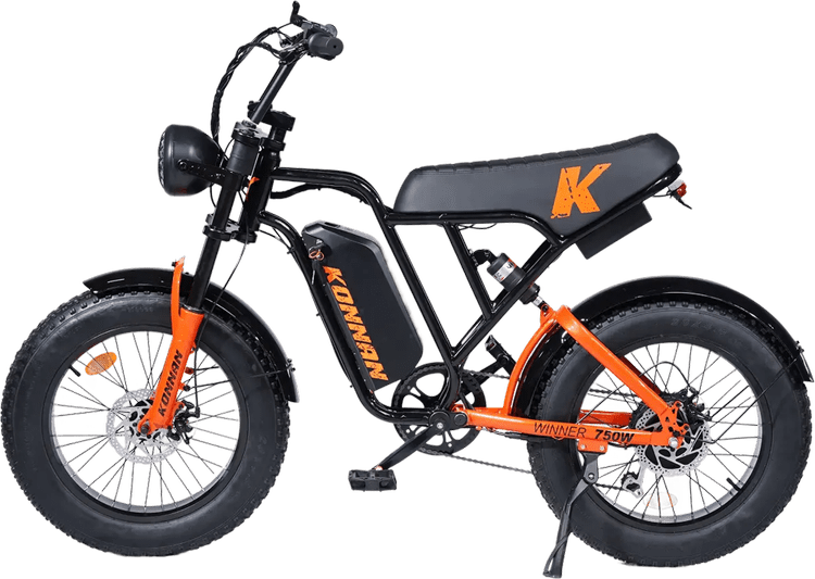 Bike Winner 750W