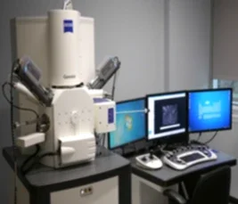 Electron microscope