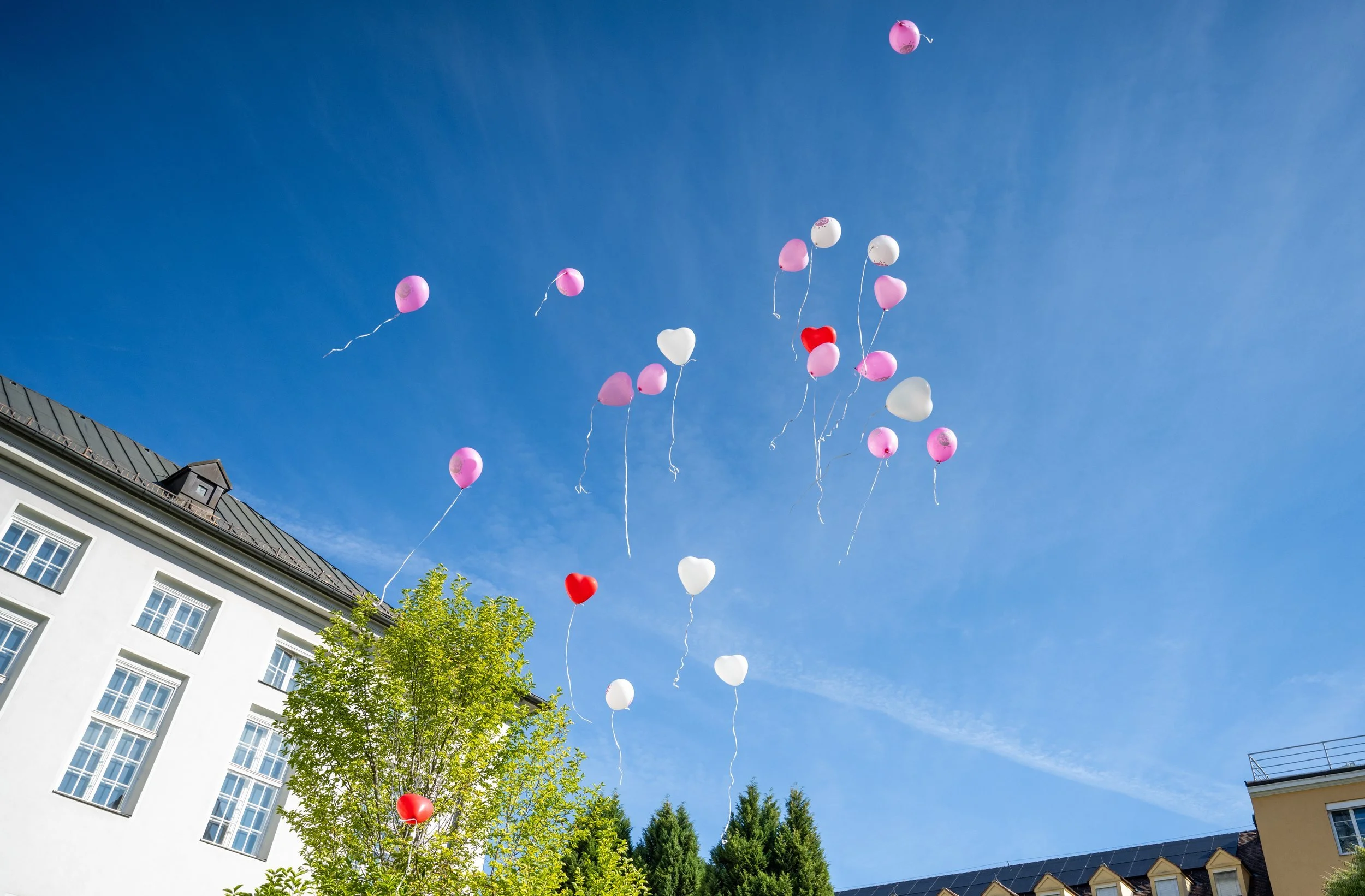 Herzluftballons steigen in den Himmel