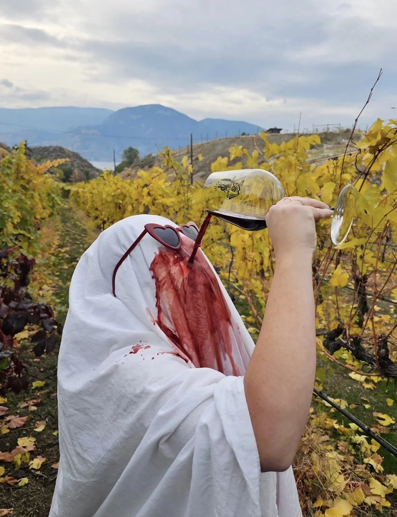 A person in a blood-splattered ghost costume tips back a glass of red wine in a golden fall vineyard on the Naramata Bench