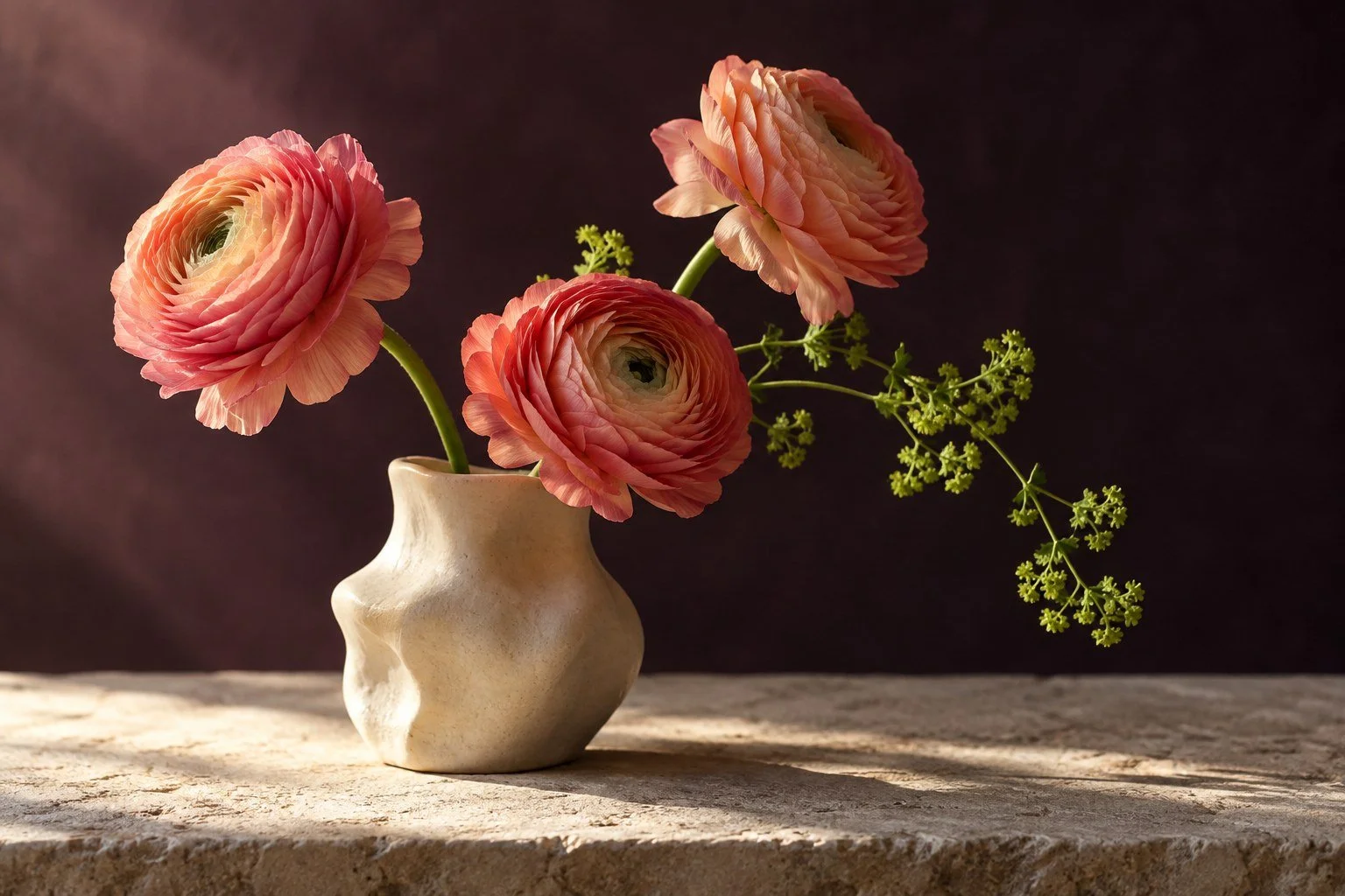 Illustrative coral ranunculus flowers in a ceramic vessel against a dark plum background.