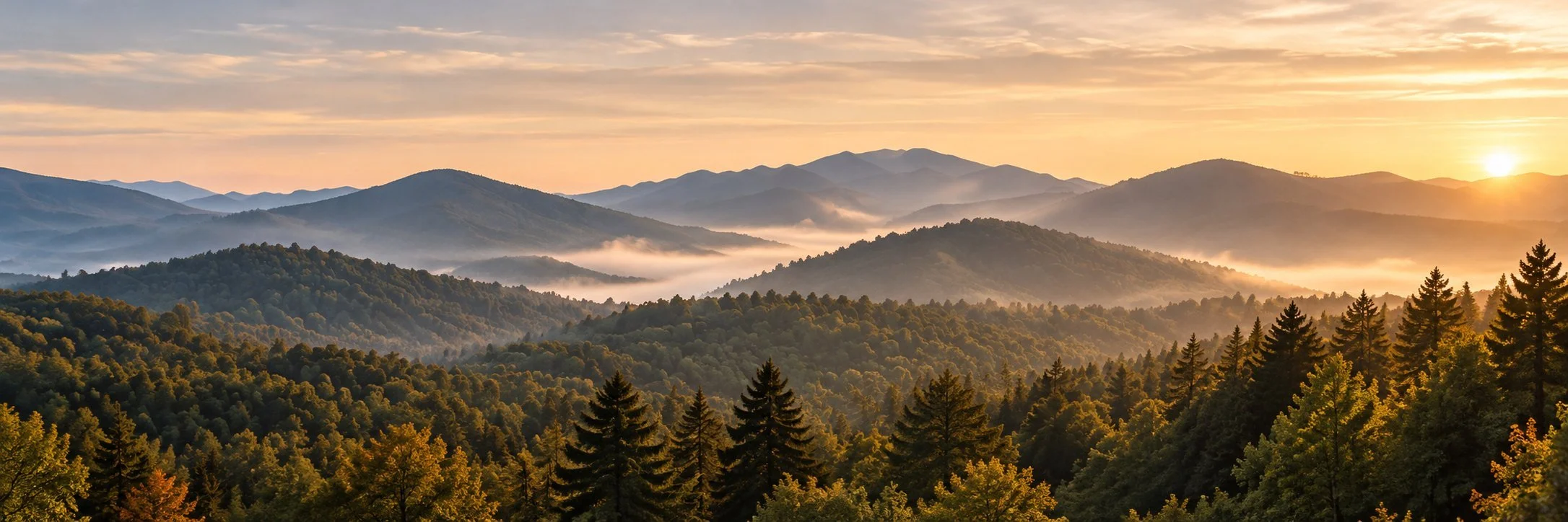 Mountain ridges and forest in warm morning light
