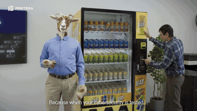 SCAPEGOAT