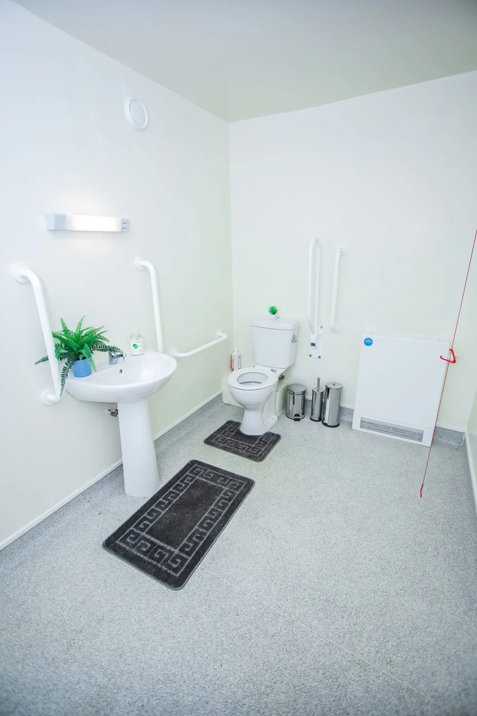 An accessible bathroom with grab rails