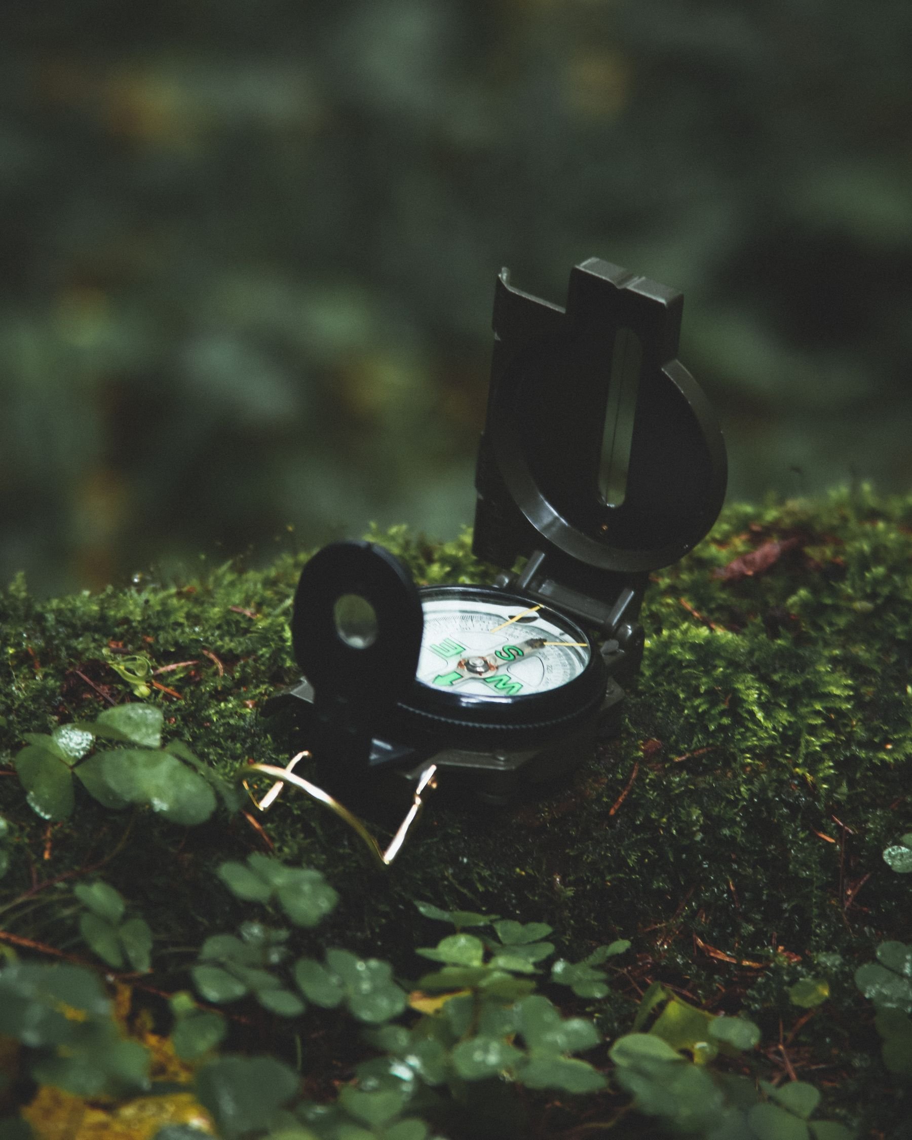 An open black compass resting on moss among woodland leaves.